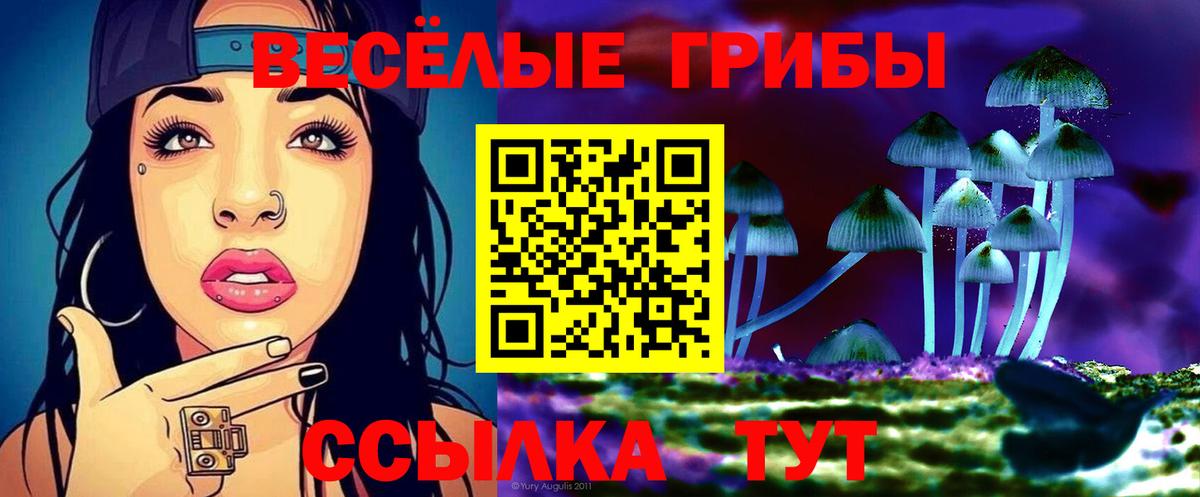Набережные Челны  Галлюциногенные грибы мицелий  Вход с VPN 